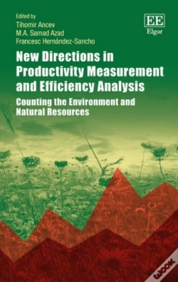 Capa do artigo New Directions In Productivity Measurement And Efficiency Analysis