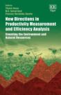 New Directions In Productivity Measurement And Efficiency Analysis - Preview