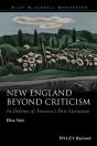 New England Beyond Criticism - Preview