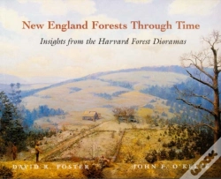 Capa do artigo New England Forests Through Time