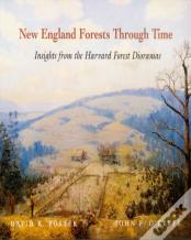 New England Forests Through Time