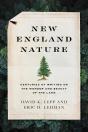 New England Nature - Preview