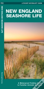 Capa do artigo New England Seashore Life