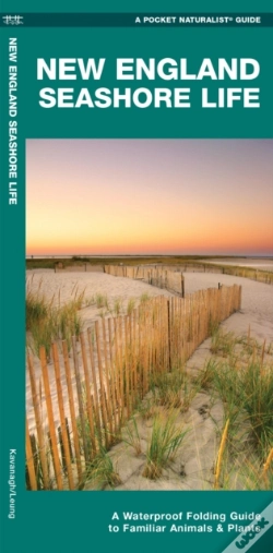 Capa do artigo New England Seashore Life