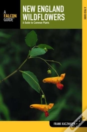 Capa do artigo New England Wildflowers