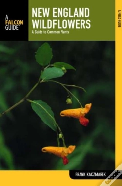 Capa do artigo New England Wildflowers