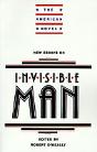New Essays On Invisible Man - Preview