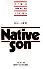 New Essays On Native Son - Preview