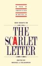 New Essays On 'The Scarlet Letter' - Preview