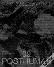 New Geographies 09