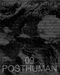 New Geographies 09 - Preview
