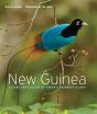 New Guinea - Preview