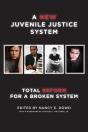 New Juvenile Justice System - Preview