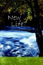 New Life - Preview