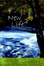 New Life - Preview