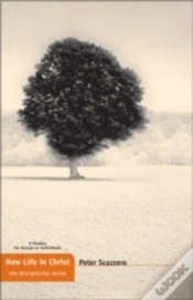 Capa do artigo New Life In Christ