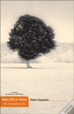 Capa do artigo New Life In Christ