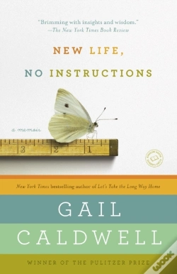 Capa do artigo New Life, No Instructions