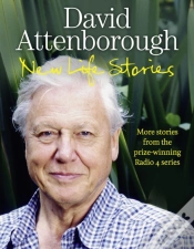 Capa do artigo New Life Stories