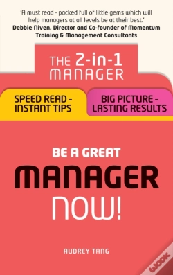 Capa do artigo New Manager