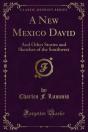 New Mexico David - Preview