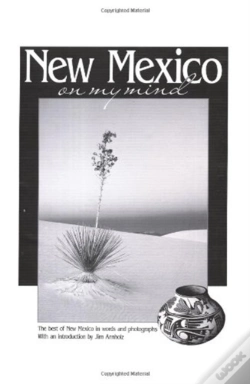 Capa do artigo New Mexico On My Mind