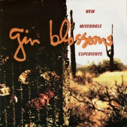 Capa do artigo New Miserable Experience - CD