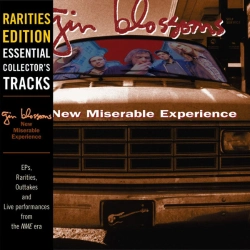 Capa do artigo New Miserable Experience: Rarities Edition - Essential Collector's Tracks - CD