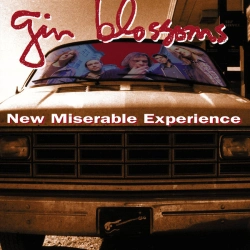 Capa do artigo New Miserable Experience - Vinil