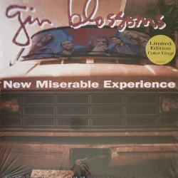 Capa do artigo New Miserable Experience - Vinil
