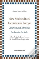 New Multicultural Identities In Europe