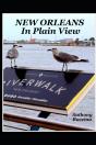 New Orleans In Plain View - Preview