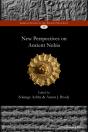 New Perspectives On Ancient Nubia - Preview