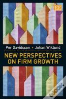 New Perspectives On Firm Growth