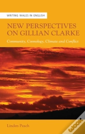 Capa do artigo New Perspectives On Gillian Clarke