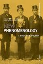 New Phenomenology - Preview
