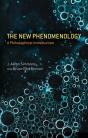 New Phenomenology - Preview