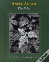 Capa do artigo New Photo Series 3: Print