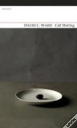 Capa do artigo New Poems