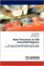 New Processes In Old Industrial Regions - Preview