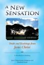 New Sensation - Preview
