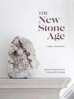 Capa do artigo New Stone Age