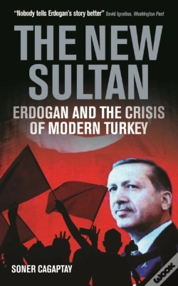 Capa do artigo New Sultan
