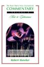 New Testament Commentary - Preview