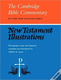 Capa do artigo New Testament Illustrations