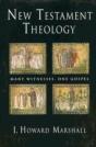 New Testament Theology Pb - Preview