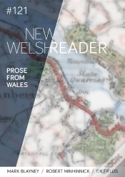 Capa do artigo New Welsh Reader 121