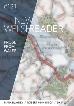 Capa do artigo New Welsh Reader 121