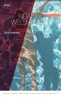 New Welsh Reader, Autumn 2020 - Preview