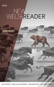 Capa do artigo New Welsh Reader